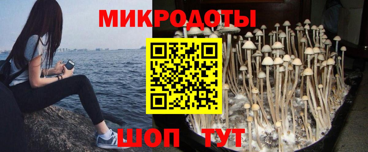 Галлюциногенные грибы мицелий  Вход с VPN  Псилоцибиновые грибы ЛСД  Мытищи 